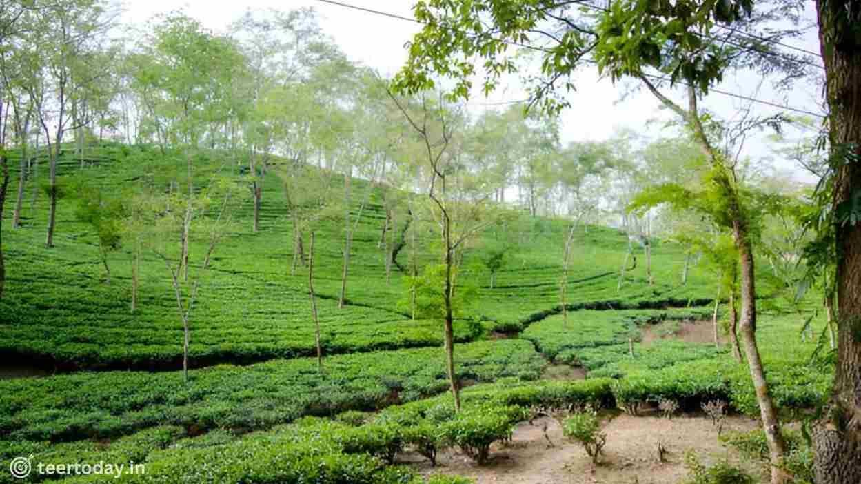 Top 5 Tourist Attractions in Assam: Outdoor Edition 2025